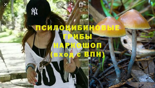 экстази Липки