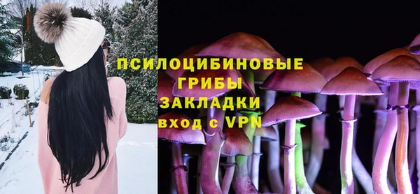 jwh Лиски