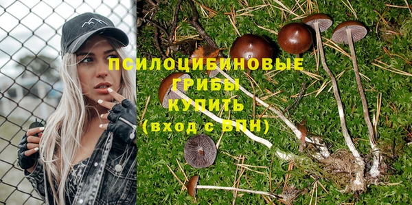 индика Анжеро-Судженск