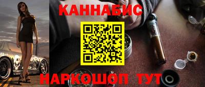крисы Новокубанск