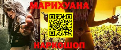 крисы Новокубанск