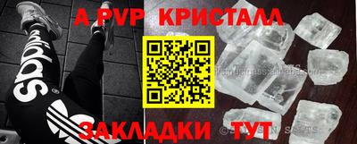 крисы Новокубанск