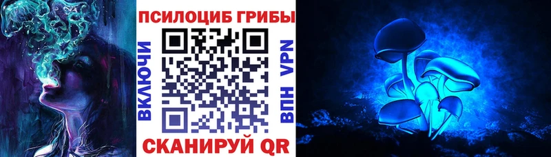 Псилоцибиновые грибы Psilocybe Нарткала