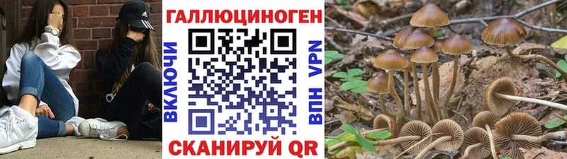 Псилоцибиновые грибы ЛСД  shop Telegram  Нарткала 