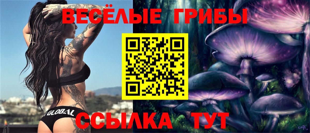 Галлюциногенные грибы MAGIC MUSHROOMS  Вход с VPN  Нарткала 