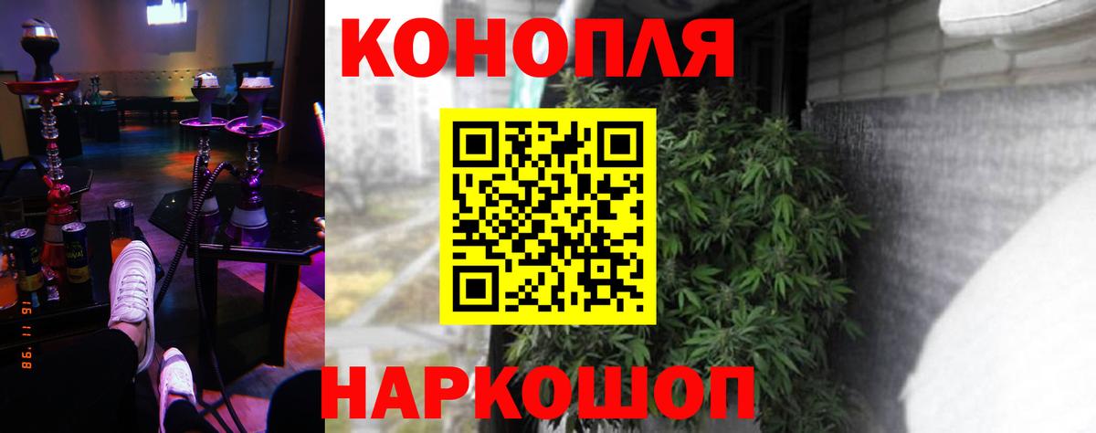 Конопля конопля Нарткала